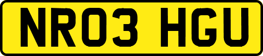 NR03HGU