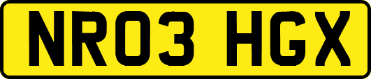 NR03HGX