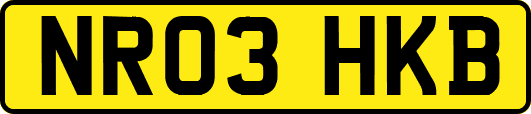 NR03HKB