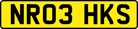 NR03HKS