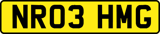 NR03HMG