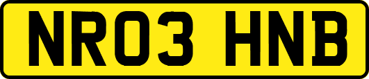 NR03HNB