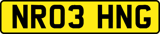 NR03HNG