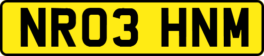 NR03HNM
