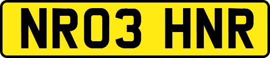NR03HNR