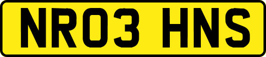 NR03HNS