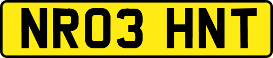 NR03HNT