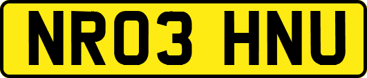NR03HNU