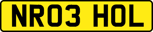 NR03HOL