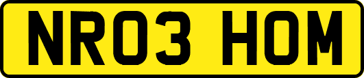 NR03HOM