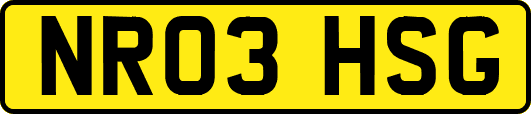 NR03HSG
