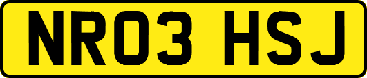 NR03HSJ