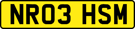 NR03HSM