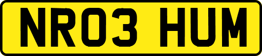NR03HUM