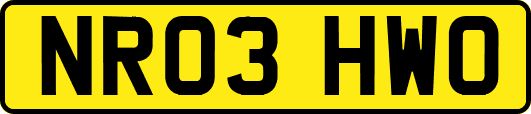 NR03HWO