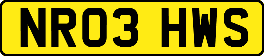 NR03HWS
