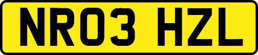 NR03HZL
