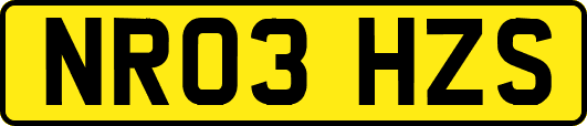 NR03HZS