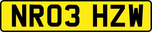 NR03HZW