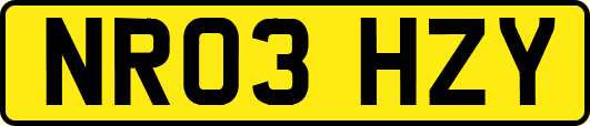NR03HZY