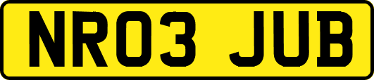 NR03JUB