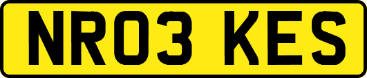 NR03KES