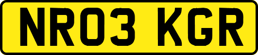 NR03KGR