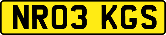 NR03KGS
