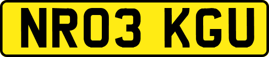 NR03KGU