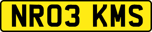 NR03KMS