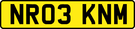 NR03KNM