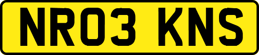 NR03KNS