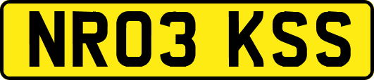 NR03KSS