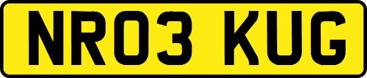 NR03KUG
