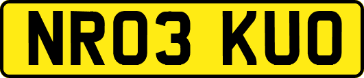NR03KUO