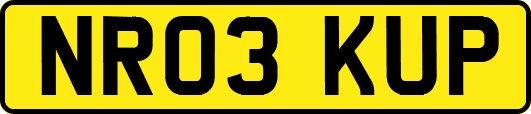 NR03KUP