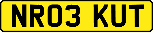 NR03KUT