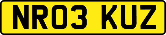 NR03KUZ