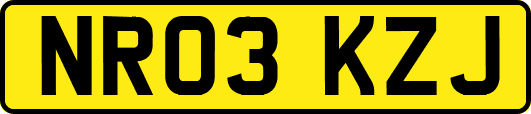 NR03KZJ