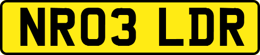NR03LDR