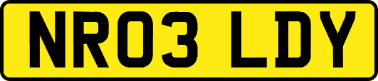 NR03LDY