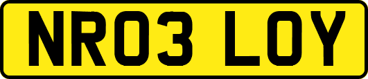 NR03LOY
