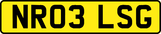 NR03LSG