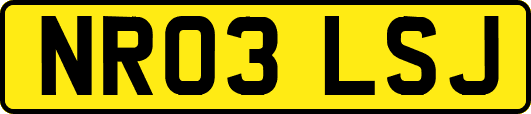 NR03LSJ