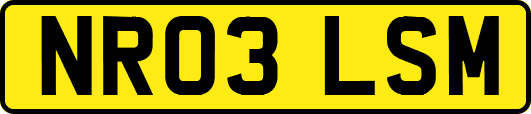 NR03LSM