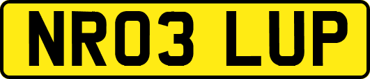 NR03LUP