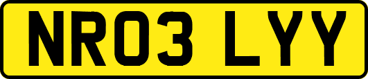 NR03LYY