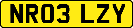 NR03LZY