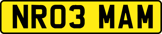 NR03MAM