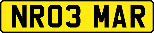 NR03MAR